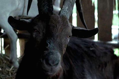 The Transformation of the Goat Witch: From Villain to Antihero?